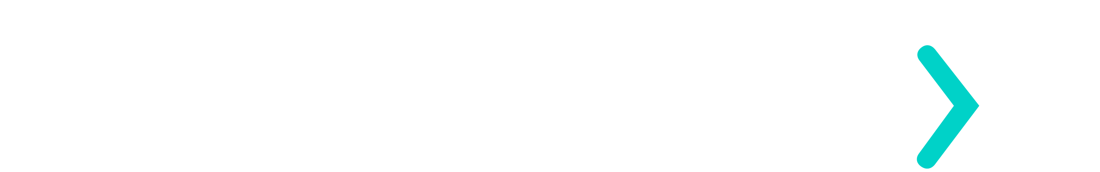 Logotipo Ellevo Next