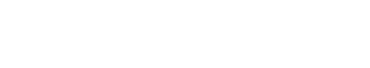 Ellevo